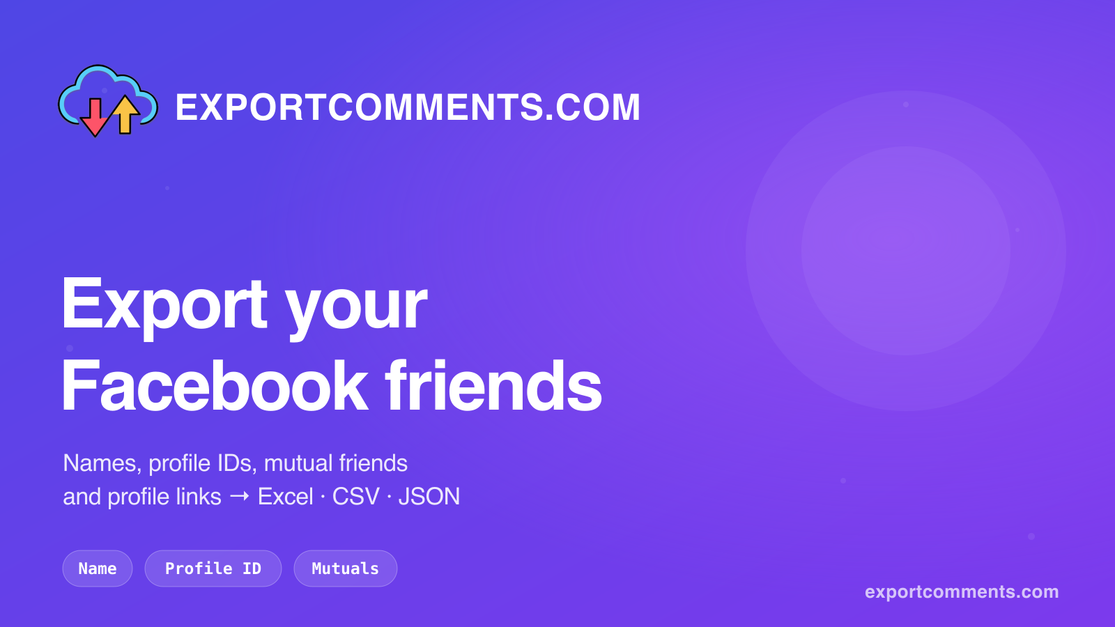 Export your Facebook friends list to Excel with ExportComments